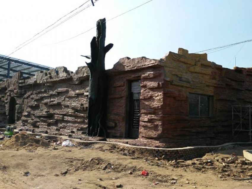 點(diǎn)擊查看詳細(xì)信息<br>標(biāo)題：假房子 閱讀次數(shù)：1338