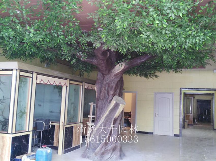 點(diǎn)擊查看詳細(xì)信息<br>標(biāo)題：假樹(shù)外施工后 閱讀次數(shù)：1455