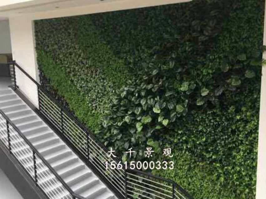 點(diǎn)擊查看詳細(xì)信息<br>標(biāo)題：綠植墻 閱讀次數(shù)：1717