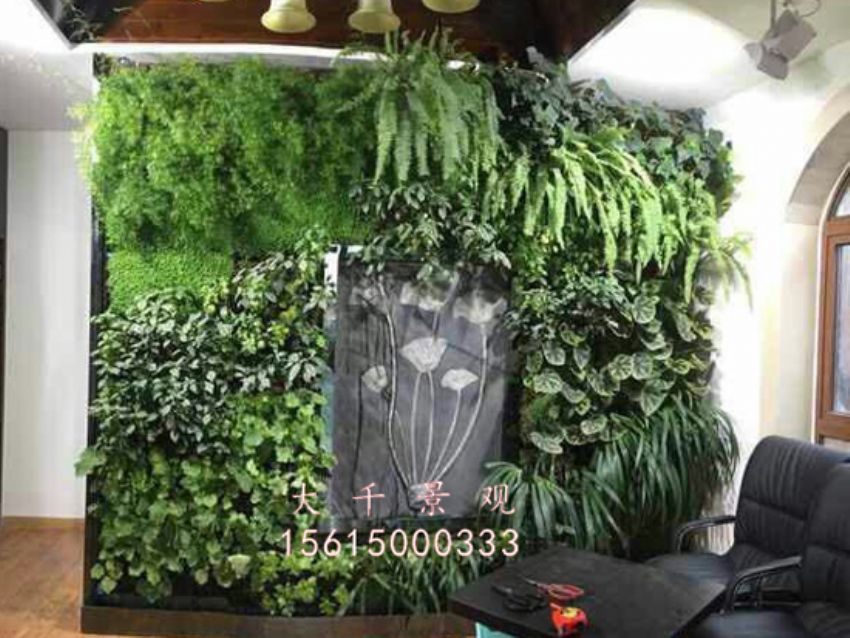 點(diǎn)擊查看詳細(xì)信息<br>標(biāo)題：綠植墻 閱讀次數(shù)：1792