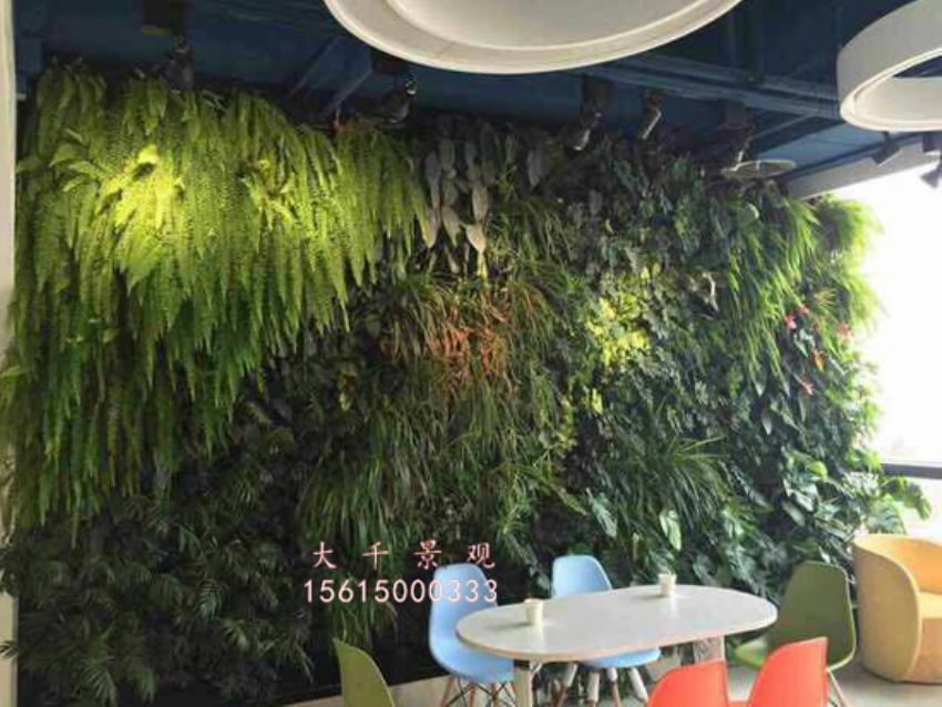 點(diǎn)擊查看詳細(xì)信息<br>標(biāo)題：綠植墻 閱讀次數(shù)：2003