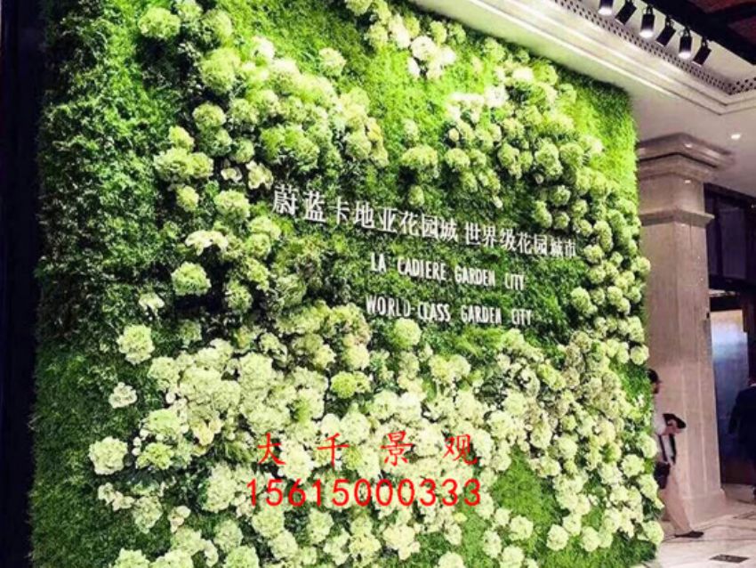 點(diǎn)擊查看詳細(xì)信息<br>標(biāo)題：綠植墻 閱讀次數(shù)：2122