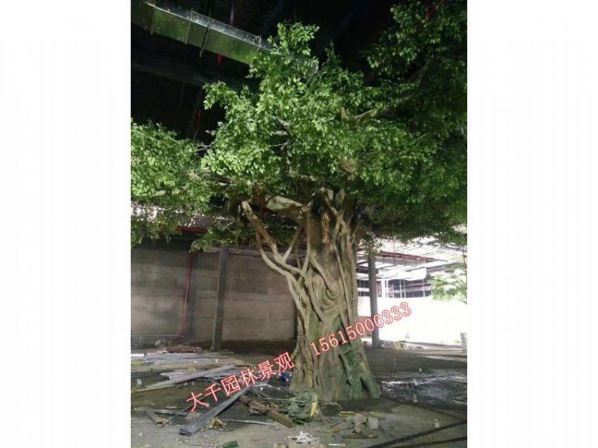 點擊查看詳細信息<br>標題：假樹 閱讀次數：2524